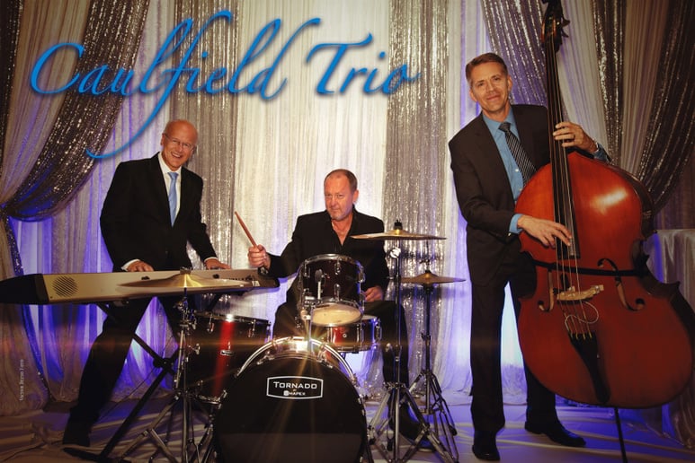 Gallery photo 4 of Joe McDonald Music Contractor