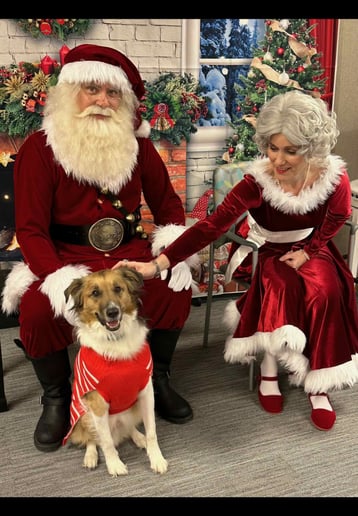Gallery photo 2 of The Hilton Head Santa Claus LLC