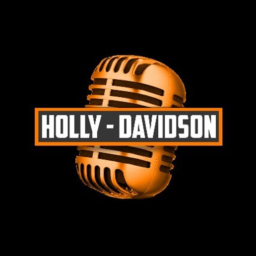 Gallery photo 1 of The Holly Davidson Band