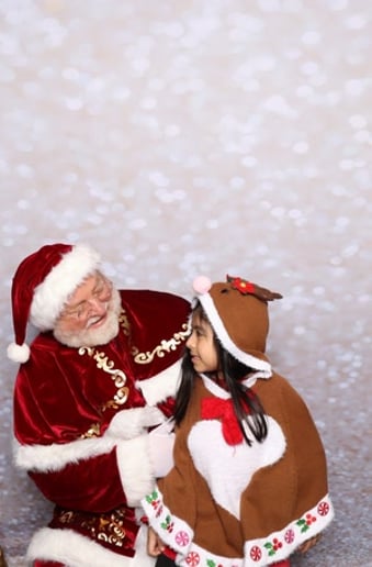 Gallery photo 7 of The Holly Jolly Santa