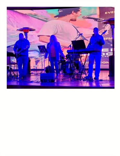 Gallery photo 1 of The Honeybadgers