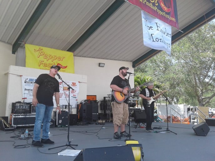 Gallery photo 4 of The Howler Monkeys Unplugged