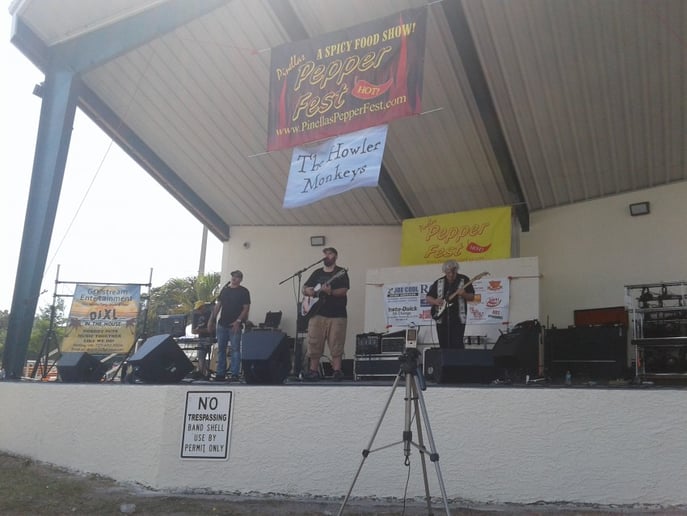 Gallery photo 5 of The Howler Monkeys Unplugged