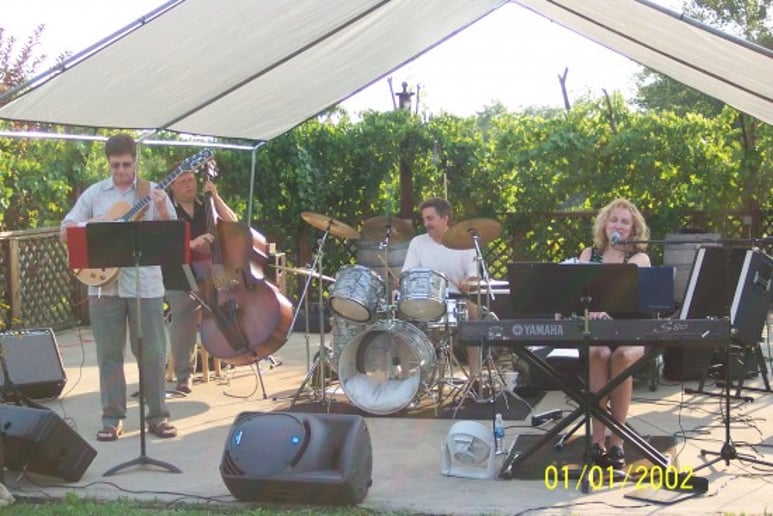 Gallery photo 1 of The Jeannine Groh Trio
