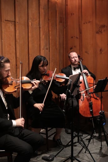 Gallery photo 11 of The J.M. Chamber Players