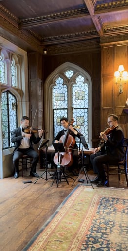 Gallery photo 30 of The J.M. Chamber Players
