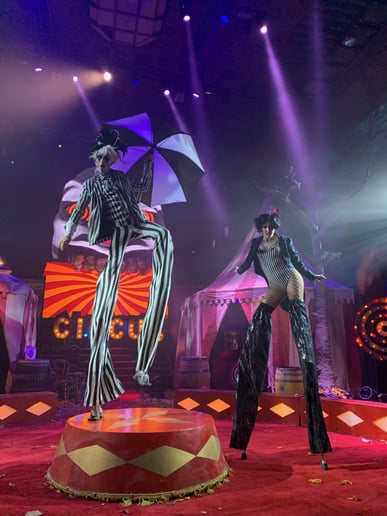 Gallery photo 4 of The Kozmik Twinz Stilts and Fire