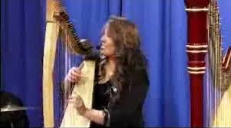 Gallery photo 1 of Harpist Kristen Gibbs & Band