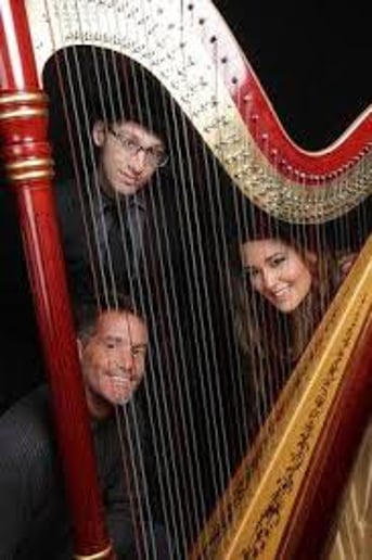 Gallery photo 5 of Harpist Kristen Gibbs & Band