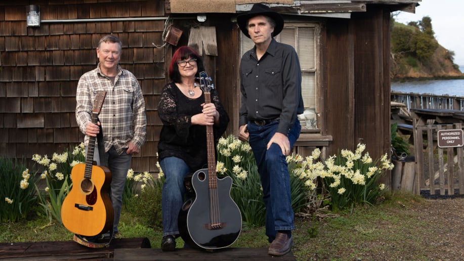 Gallery photo 2 of The Larkdales band