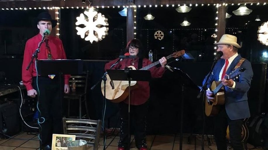 Gallery photo 4 of The Larkdales band