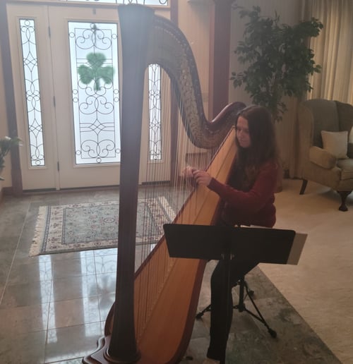 Gallery photo 3 of The Legal Harpist
