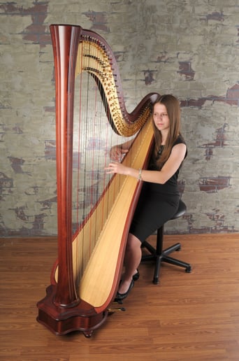 Gallery photo 1 of The Legal Harpist
