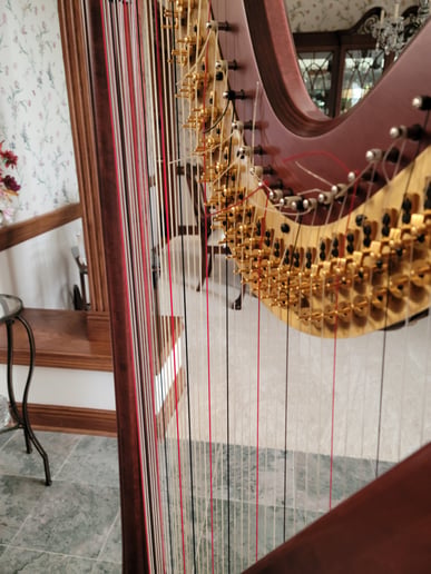 Gallery photo 8 of The Legal Harpist