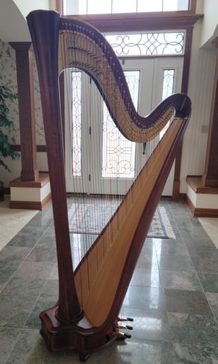 Gallery photo 9 of The Legal Harpist