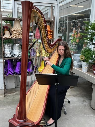 Gallery photo 10 of The Legal Harpist