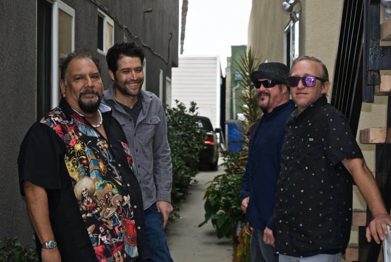 Gallery photo 4 of The Little George Band