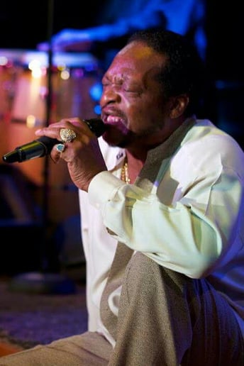 Gallery photo 3 of Lovechild and The Ice Cold Band