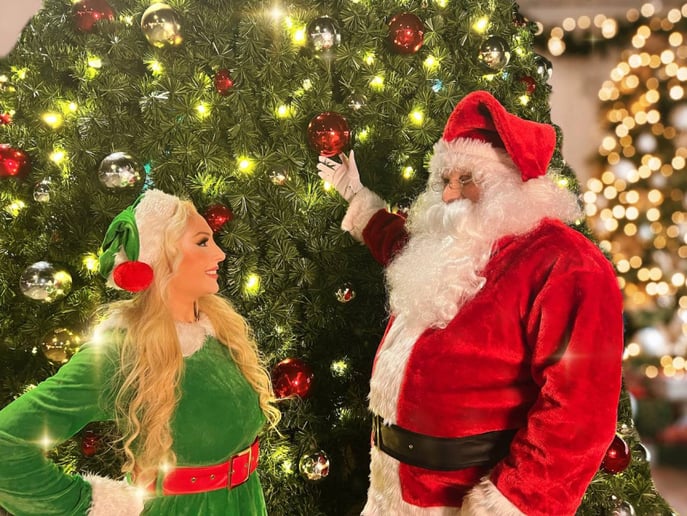 Gallery photo 7 of The Magic Of Christmas