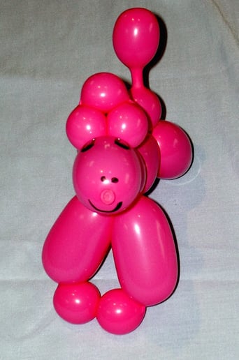 Gallery photo 2 of The Magical Balloon Guy
