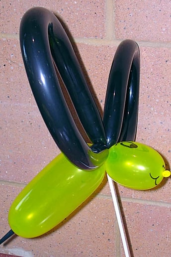 Gallery photo 8 of The Magical Balloon Guy