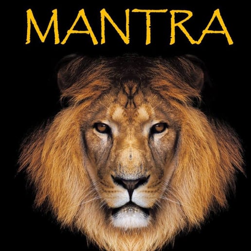 Gallery photo 8 of Mantra Santana Tribute Show