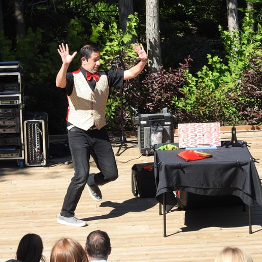 Gallery photo 1 of The Marvellous Magician