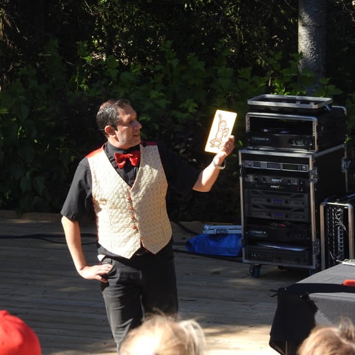 Gallery photo 7 of The Marvellous Magician