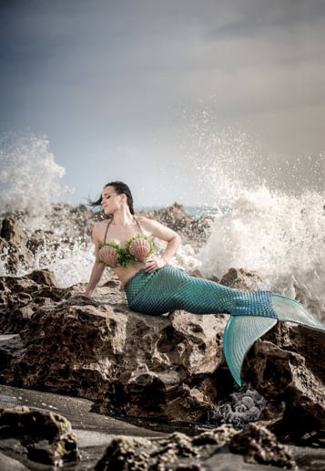 Gallery photo 6 of The Mermaid Arista