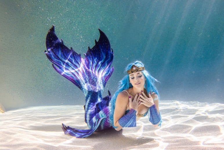 Gallery photo 10 of The Mermaid Arista