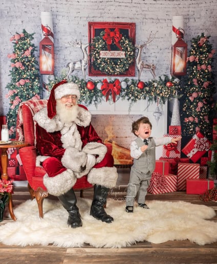 Gallery photo 1 of A Magical Christmas Visit