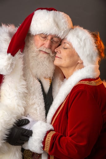 Gallery photo 3 of A Magical Christmas Visit