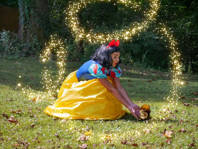 Gallery photo 4 of The Middle Tennessee Royal Court