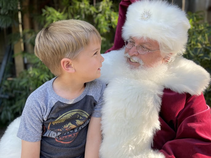 Gallery photo 4 of The Milk and Cookies Santa