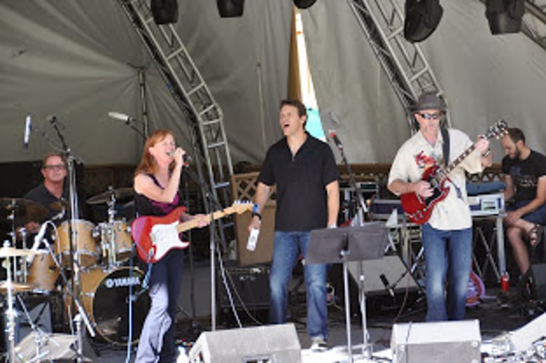 Gallery photo 1 of The Electric Moose Band