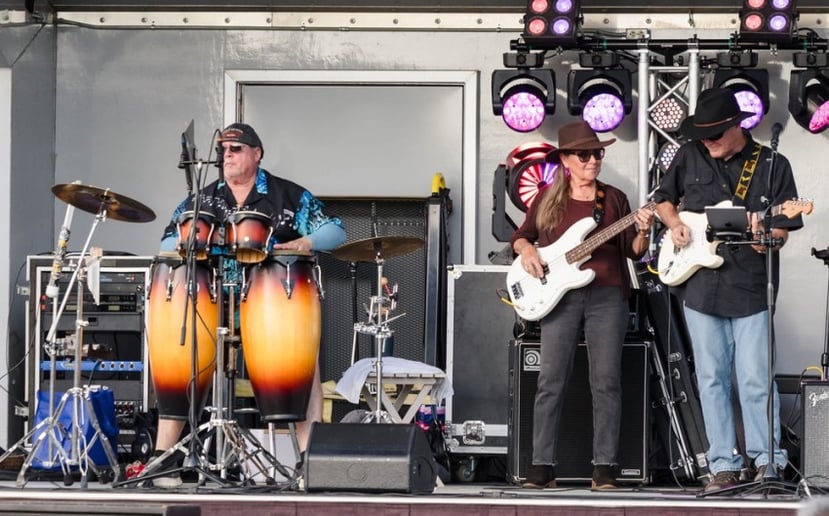 Gallery photo 1 of The Mudds Jazz & Blues Band