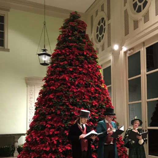 Gallery photo 14 of The American Caroling Company