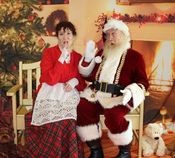 Gallery photo 4 of The Nichols Santa