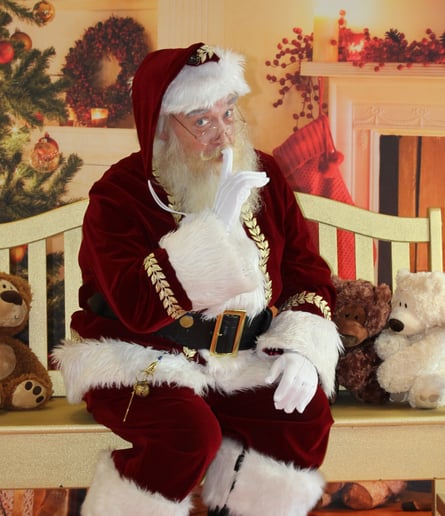 Gallery photo 5 of The Nichols Santa