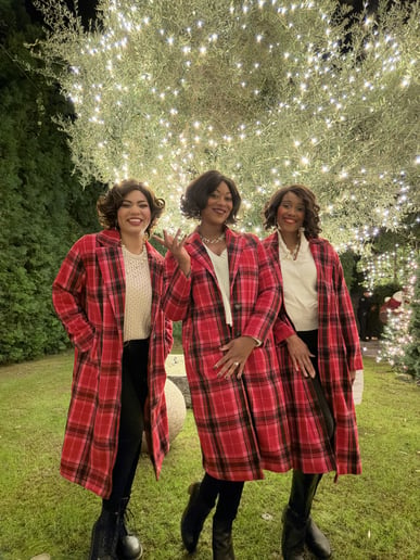 Gallery photo 20 of The Noelles