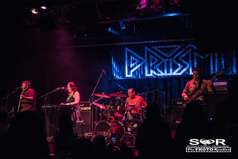 Gallery photo 7 of The Oddibles