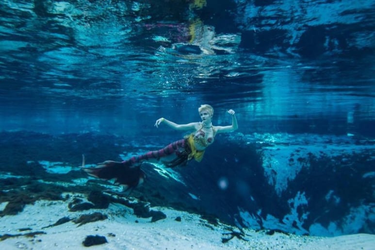 Gallery photo 2 of The Ohio Mermaids