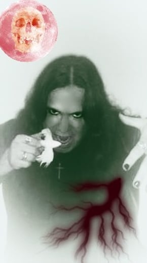 Gallery photo 8 of The Ozzynator