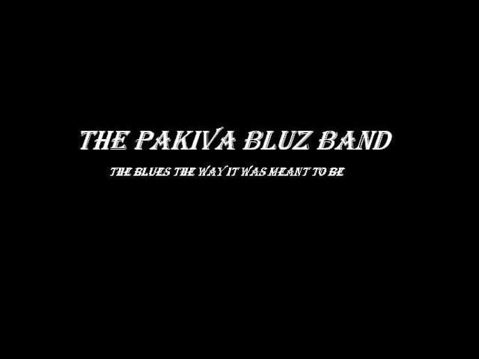 Gallery photo 1 of The Pakiva Bluz Band