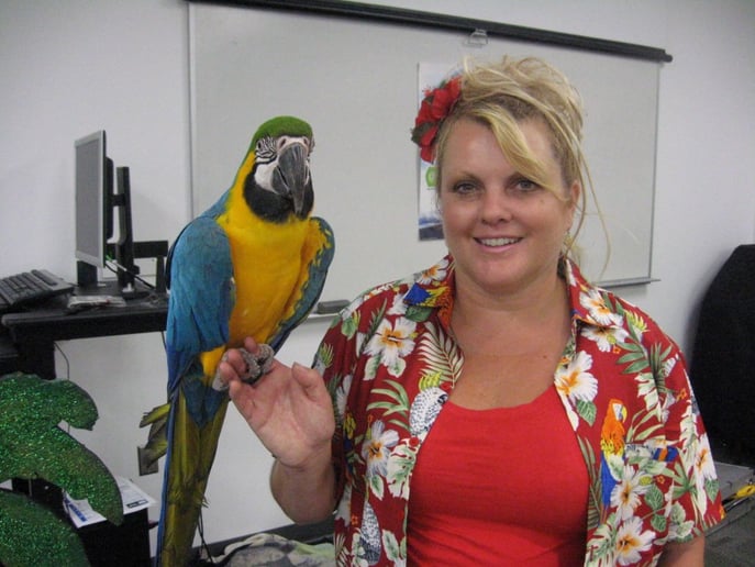 Gallery photo 3 of The Paradise Parrot Show