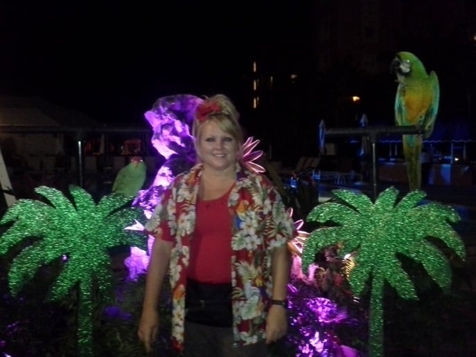 Gallery photo 4 of The Paradise Parrot Show