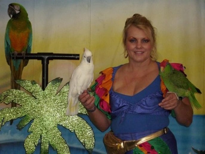 Gallery photo 1 of The Paradise Parrot Show