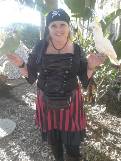 Gallery photo 7 of The Paradise Parrot Show