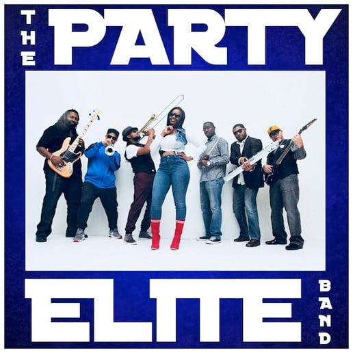Gallery photo 1 of The Party Elite Band