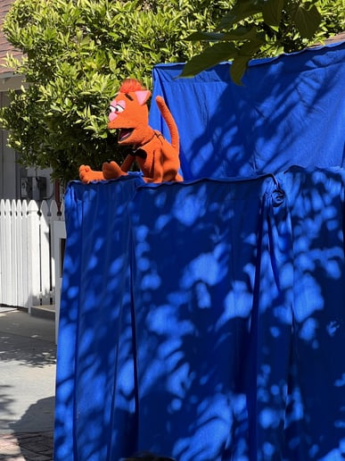 Gallery photo 7 of The Party Puppet Show / Mr. Markus Music Show